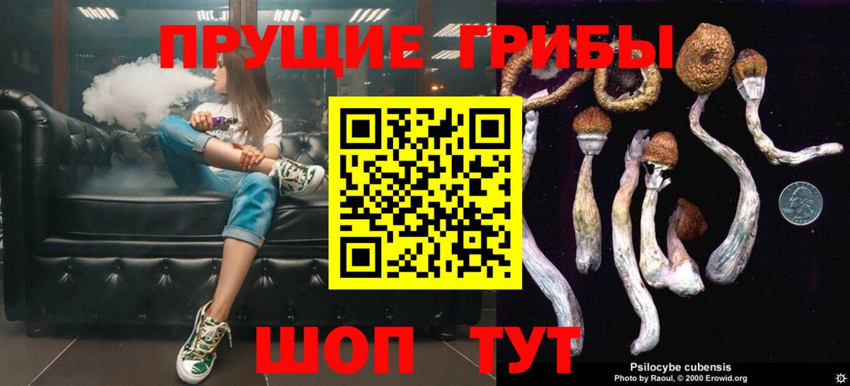 Псилоцибиновые грибы Psilocybe Балашиха